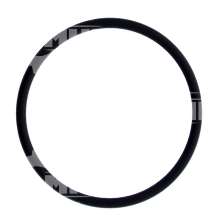 O-RING LSF-0005788