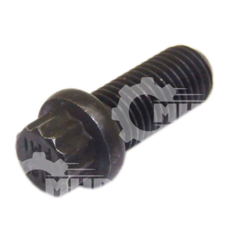 BOLT LSF-0015193