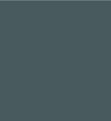 PAINT NISSAN GREY SINCE 1993 2.5L TIN LSF-0007573