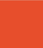 PAINT EUROLIFTER ORANGE 2.5L TIN LSF-0007458