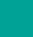 PAINT SUMITOMO TURQUOISE 2.5L TIN LSF-0007627