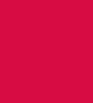 PAINT NISSAN PINK SINCE 1993 2.5L TIN LSF-0007574