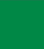 PAINT ICEM GREEN SINCE 2002 2.5L TIN LSF-0007510