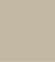 PAINT CROWN BEIGE 2.5L TIN LSF-0007200
