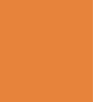 PAINT SPRAY CAN 400ML YANG-YAM ORANGE LSF-0007672