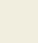 PAINT FIAT-OM-PIMESPO BEIGE (LIGHT) 2.5L TIN LSF-0007218