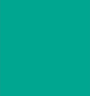 PAINT SHINKO GREEN 2.5L TIN LSF-0007643