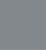 PAINT HALLA - HYUNDAI GREY SINCE 1999 2.5L TIN LSF-0007465