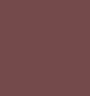 PAINT PRIMER RED BROWN 2.5L TIN LSF-0007703