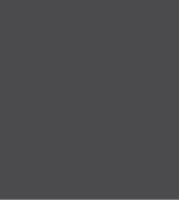 PAINT BAUMAN GREY 2.5L TIN LSF-0007435