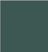 PAINT MIC GREY SINCE 1998 2.5L TIN LSF-0007563