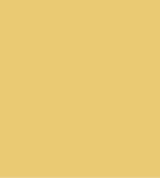 PAINT HYSTER YELLOW SINCE 1993 2.5L TIN LSF-0007413