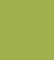 PAINT SPRAY CAN 400ML CLARK YELLOW/GREEN SINCE 1985 LSF-0007191
