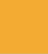 PAINT ATLET YELLOW 2.5L TIN LSF-0007421