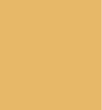 PAINT DOOSAN YELLOW SINCE 2000 2.5L TIN LSF-0007450