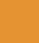 PAINT SPRAY CAN 400ML OMG ORANGE LSF-0007610