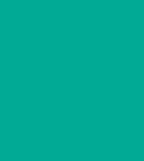 PAINT YANG-YAM PUMA GREEN 2.5L TIN LSF-0007673