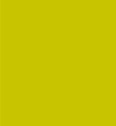 PAINT SPRAY CAN 400ML TOTALLIFTER GREEN LSF-0007660