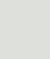 PAINT FIAT-OM-PIMESPO GREY (LIGHT) 2.5L TIN LSF-0007220