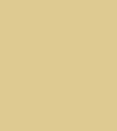 PAINT JLG BEIGE 2.5L TIN LSF-0007511