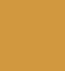 PAINT TOYOTA YELLOW BEFORE 1980 2.5L TIN LSF-0007678