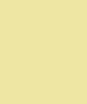PAINT YANG-YAM PUMA YELLOW 2.5L TIN LSF-0007674