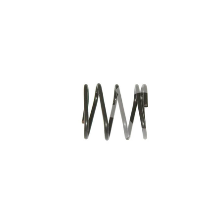STRUT SPRING LSF-0011350