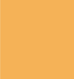 PAINT TOTALLIFTER YELLOW 2.5L TIN LSF-0007656