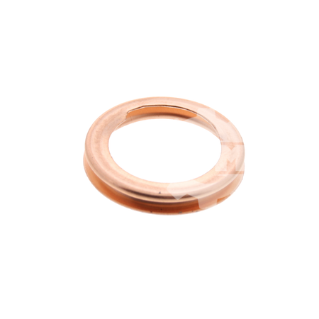SEALING RING LSF-0012372