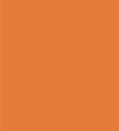 PAINT SPRAY CAN 400ML TOTALLIFTER ORANGE LSF-0007662