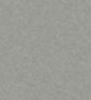 PAINT NISSAN GREY (METALLIC) 2.5L TIN LSF-0007576