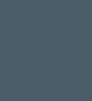 PAINT IRION GERY (DARK) 2.5L TIN LSF-0007500