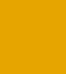 PAINT SPRAY CAN 400ML BAUMANN YELLOW LSF-0007433