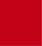 PAINT ATLET RED 2.5L TIN LSF-0007425