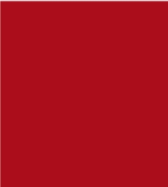 PAINT TOTALLIFTER RED 2.5L TIN LSF-0007658