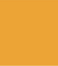 PAINT SPRAY CAN 400ML SAMSUNG YELLOW LSF-0007632