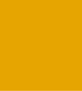 PAINT BAUMANN YELLOW 2.5L TIN LSF-0007432