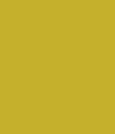 PAINT YALE YELLOW 2.5L TIN LSF-0007669
