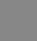 PAINT BOLZONI GREY 2.5L TIN LSF-0007440