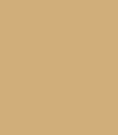 PAINT VARIOUS PAINT YELLOW OCHRE - YELLOW 2.5L TIN LSF-0007693