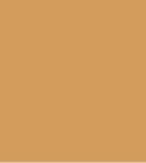 PAINT DOOSAN YELLOW SINCE 1995 2.5L TIN LSF-0007446