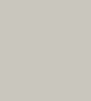 PAINT SHINKO GREY (LIGHT) 2.5L TIN LSF-0007642
