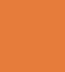 PAINT STILL ORANGE 2.5L TIN LSF-0007622