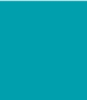 PAINT PATRIA GREEN 2.5L TIN LSF-0007617