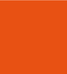 PAINT AUSA ORANGE 2.5L TIN LSF-0007427