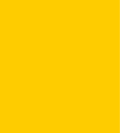 PAINT SPRAY CAN 400ML IVECO YELLOW LSF-0007504