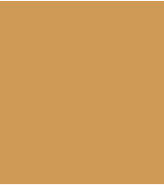 PAINT CATERPILLAR YELLOW 2.5L TIN LSF-0007123