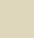 PAINT DATSUN BEIGE 2.5L TIN LSF-0007444