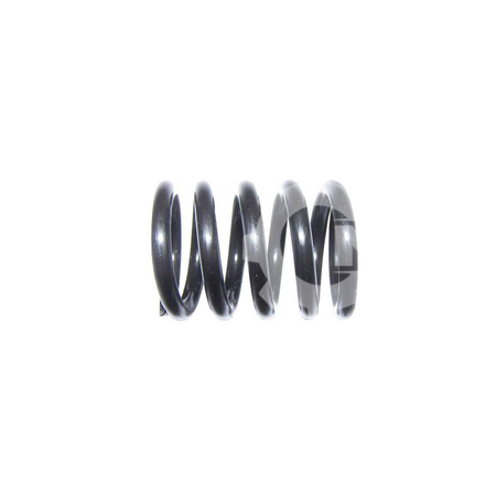 PRESSURE SPRING LSF-0010629