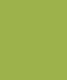 PAINT CLARK YELLOW/GREEN 2.5L TIN SINCE 1985 LSF-0007190